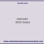 Adventures in never never land January 2019 goals